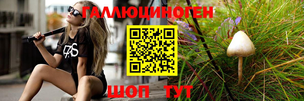 Псилоцибиновые грибы ЛСД Черняховск