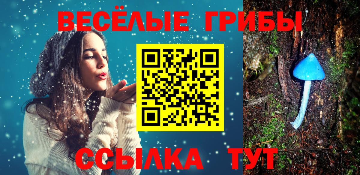 Черняховск  Галлюциногенные грибы мухоморы  Вход с VPN  Галлюциногенные грибы Psilocybe 