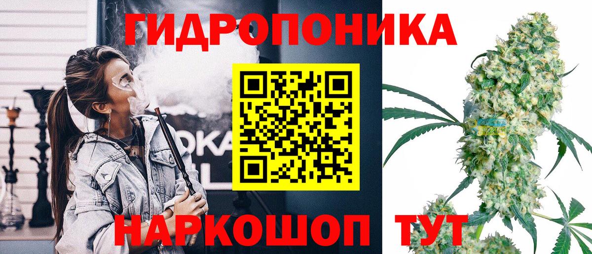 Марихуана ГИДРОПОН  Канабис индика  Черняховск  Марихуана тримм  Вход с VPN 